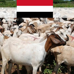 Yemen (Sheep/Goat)