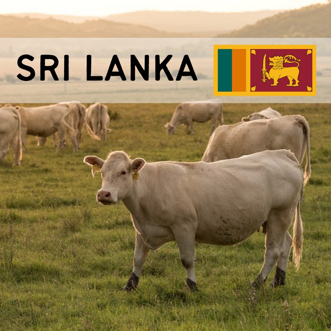 Sri Lanka - Cow (Whole)